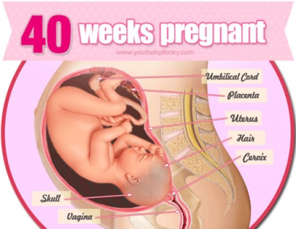 thai nhi 40 tuan - Mẹ nên làm gì khi thai nhi 40 tuần tuổi?