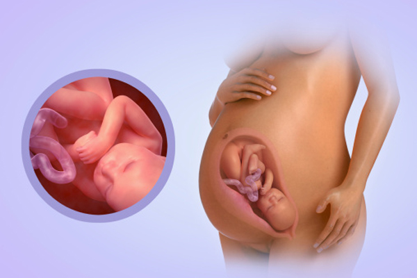 Những thay đổi của mẹ và bé trong tuần thai thứ 40