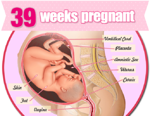 Những thông tin hữu ích cho bà bầu mang thai tuần 39