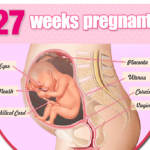 mang thai 27 tuan 150x150 - Mang thai tuần thứ 30 và những điều mẹ cần biết