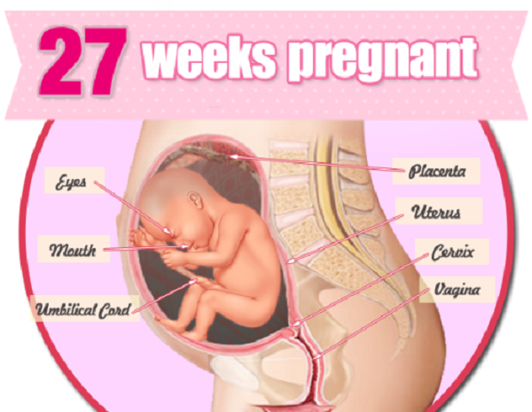 Mang thai 27 tuần: Những điều bà bầu cần biết