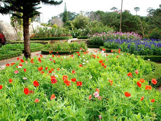 Vườn hoa Minh Tâm – Khu tham quan nghỉ dưỡng độc đáo   