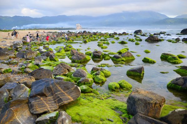 ran nam o Diem den Da Nang duoc nhieu du khach tham quan nhat 600x399 - Top 10 điểm đến Đà Nẵng được nhiều du khách tham quan nhất